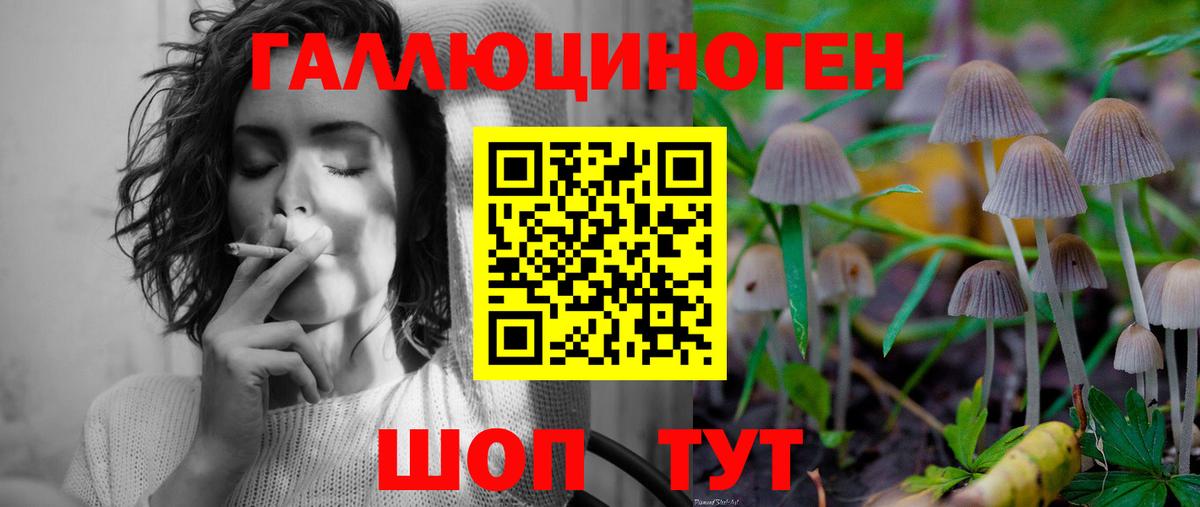 Галлюциногенные грибы MAGIC MUSHROOMS Ипатово